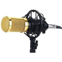 Microfon Profesional BM800, cu inregistrare vocala si Karaoke, Gold Negru